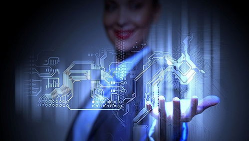 次新填權行情再起，計算機軟件開發領域高送轉股引關注